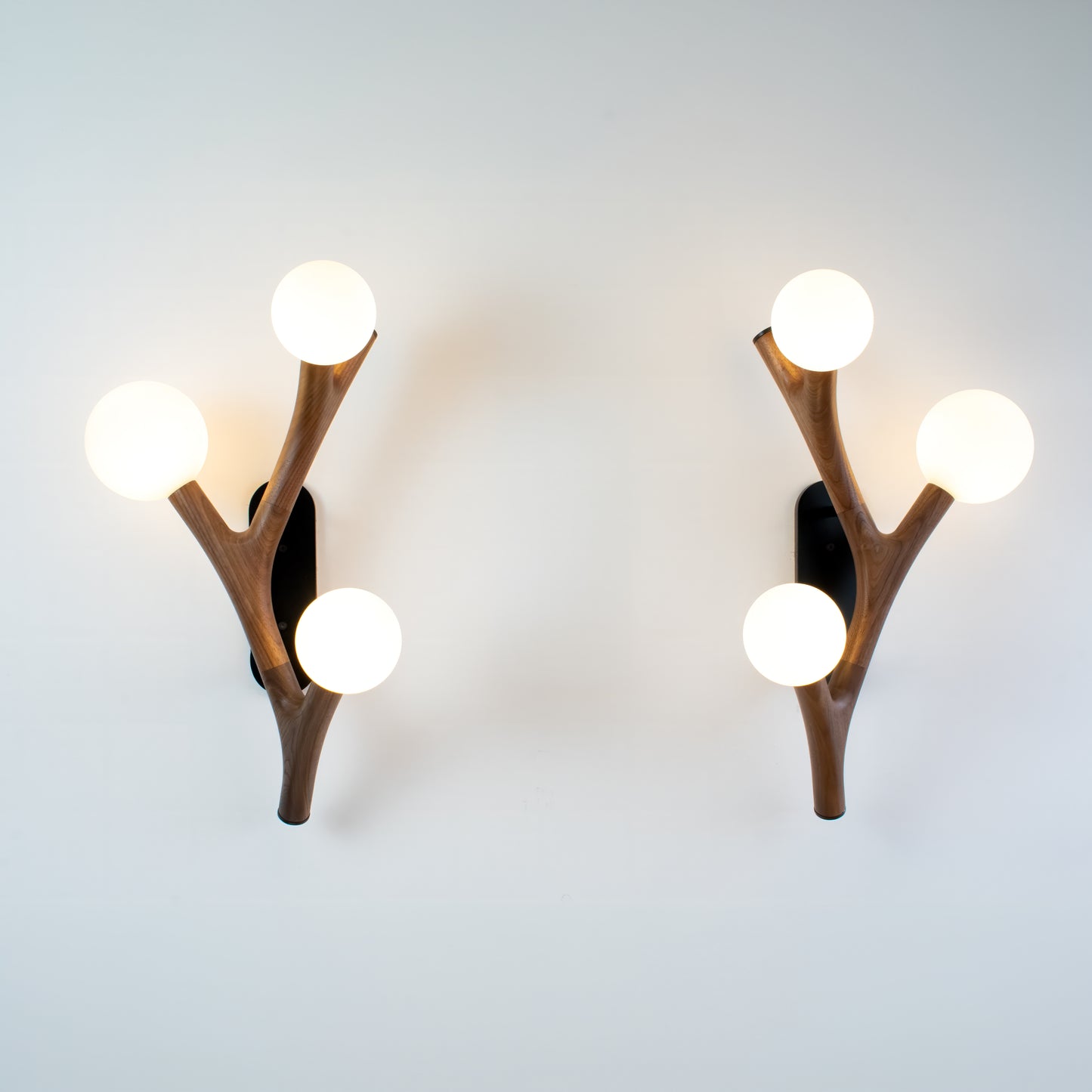 Chaparral Wall Sconce