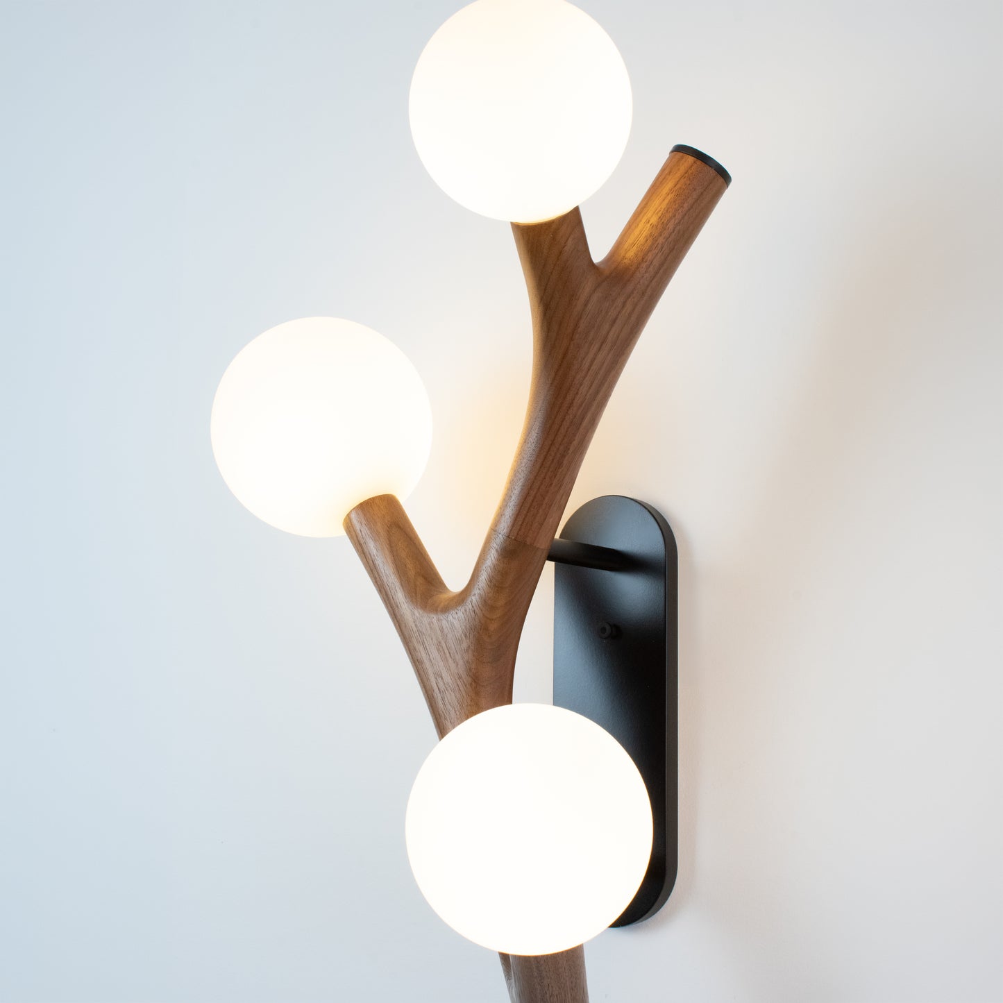 Chaparral Wall Sconce